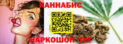 молекула духа Будённовск